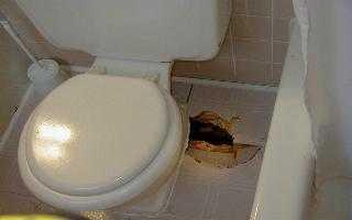 bathroom floor