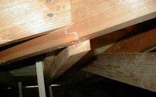 roof repair