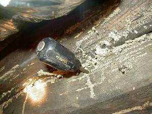 termite damage