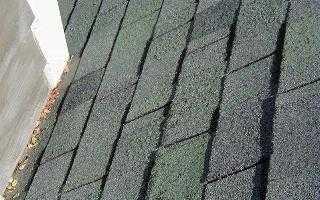 shingles
