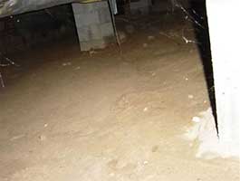 standing water