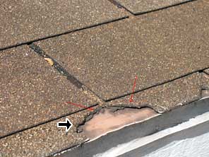 new roof damage
