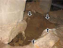 foundation