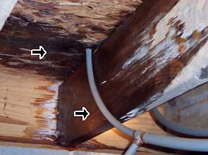 water leaks