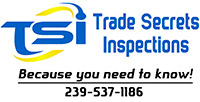 Trade Secrets Inspections LLc Logo