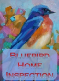 Bluebird Home Inspection and Handyman Services