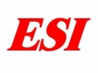 Economy Services Inc. Logo