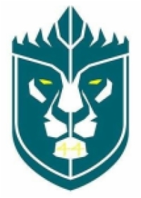 Meticulous Home Inspections Logo